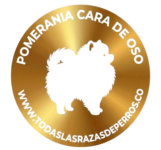 Pomerania Cara de Oso logo dorado